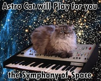 Astro-cat